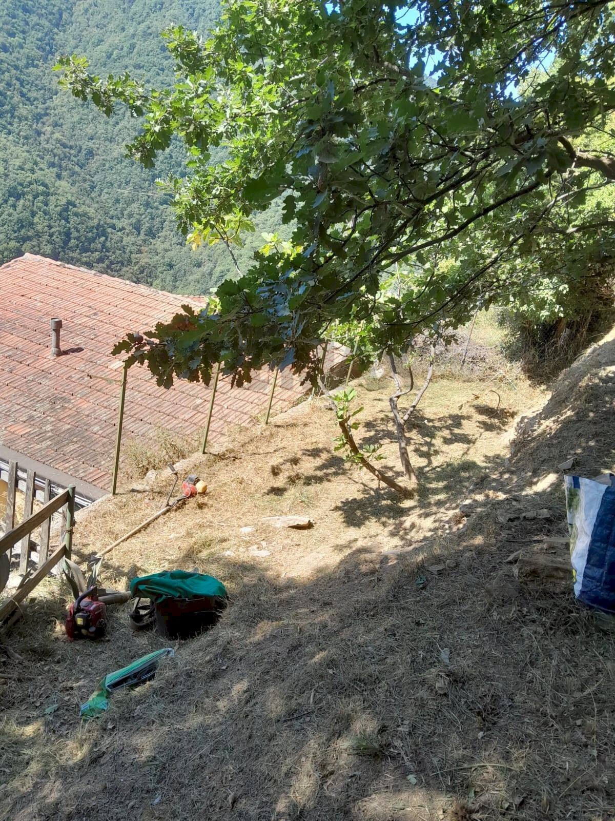 Giardino - Semi-detached house Bargagli - photo 3