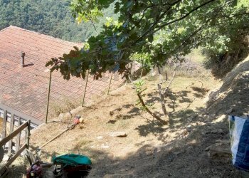 Giardino - Casa semi indipendente Bargagli - foto 3