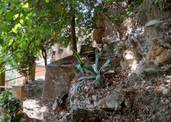 Giardino - Casa semi indipendente Bargagli - foto 4