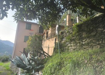 Giardino - Casa semi indipendente Bargagli - foto 9