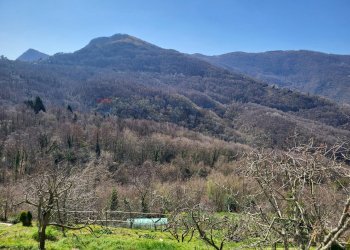 Vista delle montagne - Casa semi indipendente Via G. B. Cevasco
 
98 - 100, Bargagli - foto 35