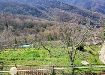 Vista delle montagne - Casa semi indipendente Via G. B. Cevasco
 
98 - 100, Bargagli - foto 37