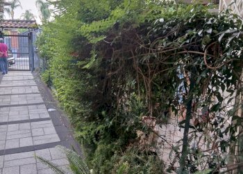 Giardino - Trilocale Via Luigi D'Angelo
 
72, Mascali - foto 11