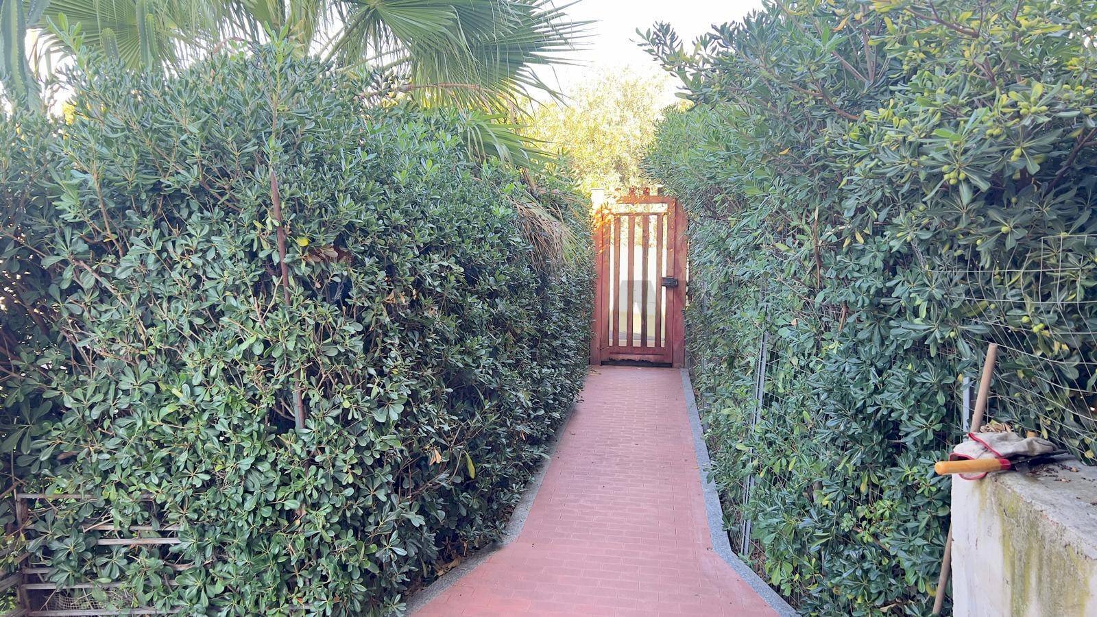 Giardino - Casa semi indipendente Via Del Nocciolo
 
31, Catania - foto 2