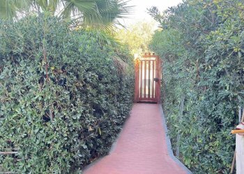 Giardino - Casa semi indipendente Via Del Nocciolo
 
31, Catania - foto 2