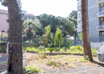 Giardino - Quadrilocale Corso Indipendenza
 
230, Catania - foto 43