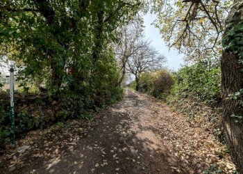 Giardino - Villa Via del Serbatoio
 
5, San Giovanni la Punta - foto 24