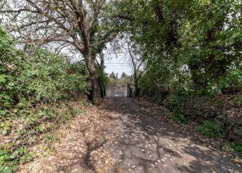 Giardino - Villa Via del Serbatoio
 
5, San Giovanni la Punta - foto 25