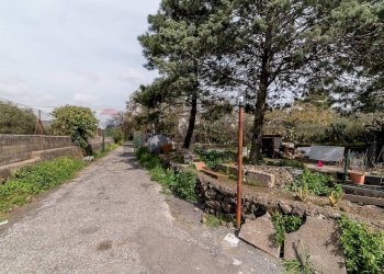 Giardino - Villa Via del Serbatoio
 
5, San Giovanni la Punta - foto 28