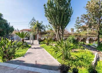 Giardino - Appartamento Viale Giove
 
16, Belpasso - foto 26