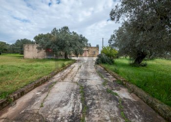 Giardino - Villa SP 34
 
sn, Caltagirone - foto 3