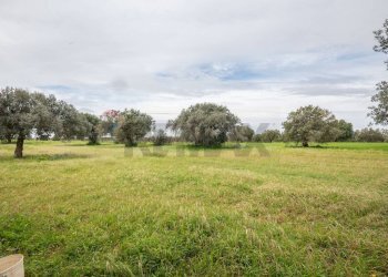 Giardino - Villa SP 34
 
sn, Caltagirone - foto 6
