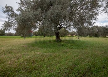 Giardino - Villa SP 34
 
sn, Caltagirone - foto 7