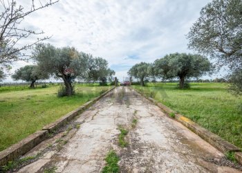 Giardino - Villa SP 34
 
sn, Caltagirone - foto 27