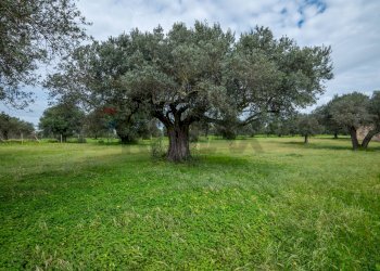 Giardino - Villa SP 34
 
sn, Caltagirone - foto 28