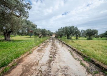 Giardino - Villa SP 34
 
sn, Caltagirone - foto 29