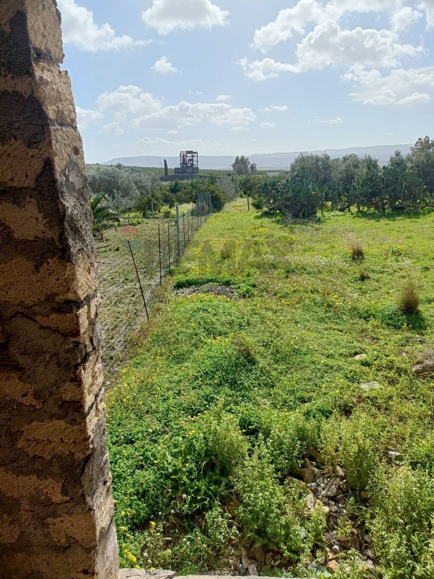 Giardino - Agricultural land Contrada San Leone, SS.385 Km 15
 
snc, Lentini - photo 1