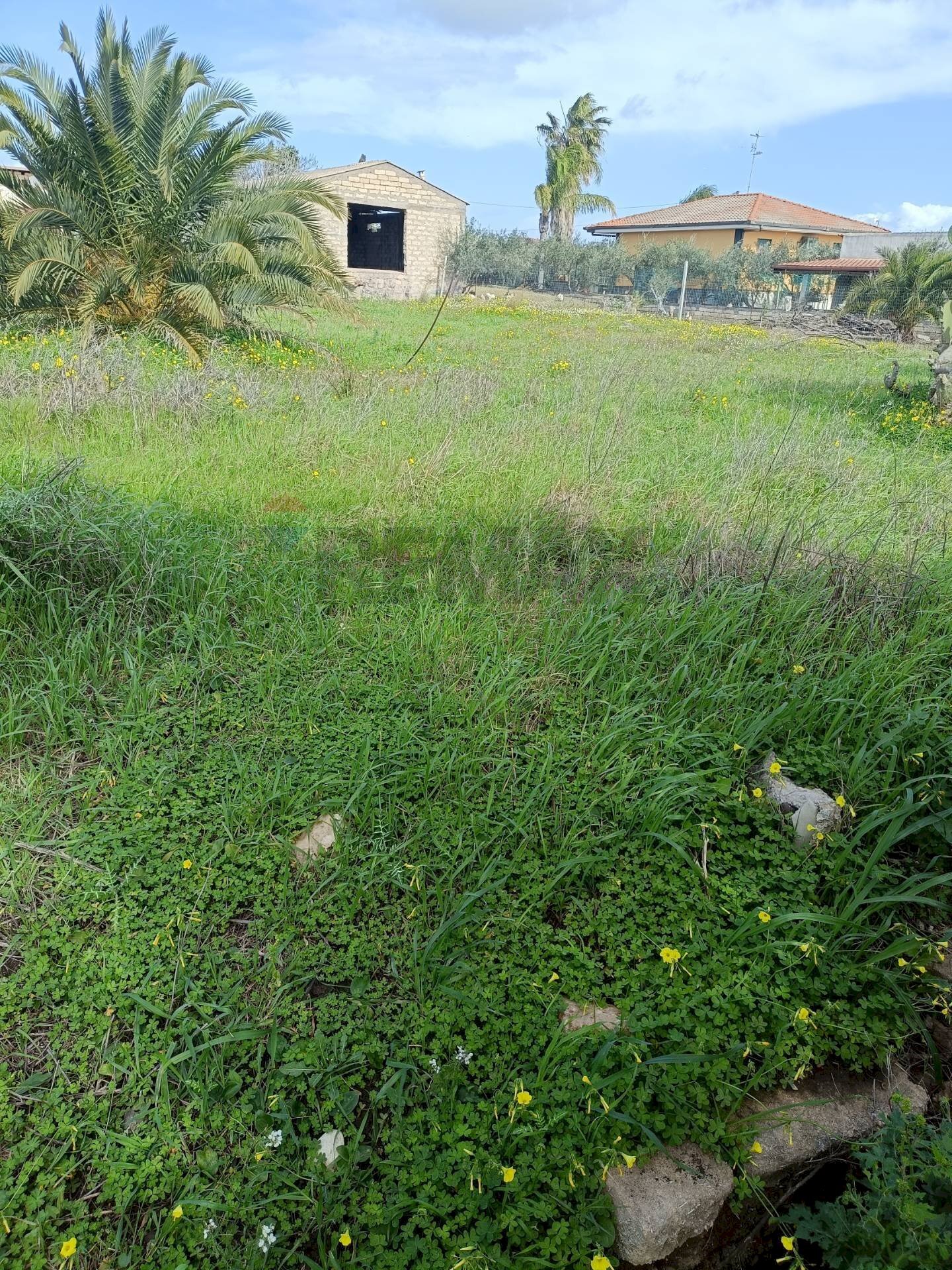 Giardino - Agricultural land Contrada San Leone, SS.385 Km 15
 
snc, Lentini - photo 2