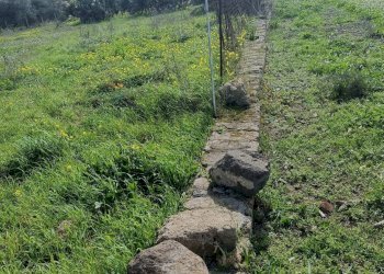 Giardino - Agricultural land Contrada San Leone, SS.385 Km 15
 
snc, Lentini - photo 6