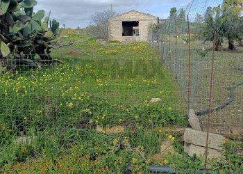 Giardino - Agricultural land Contrada San Leone, SS.385 Km 15
 
snc, Lentini - photo 9