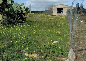 Giardino - Agricultural land Contrada San Leone, SS.385 Km 15
 
snc, Lentini - photo 11