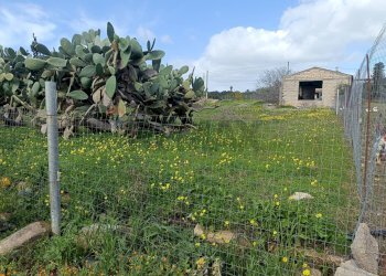 Giardino - Agricultural land Contrada San Leone, SS.385 Km 15
 
snc, Lentini - photo 12