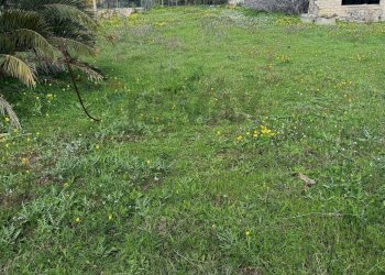 Giardino - Agricultural land Contrada San Leone, SS.385 Km 15
 
snc, Lentini - photo 13