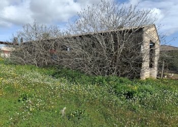 Giardino - Agricultural land Contrada San Leone, SS.385 Km 15
 
snc, Lentini - photo 16