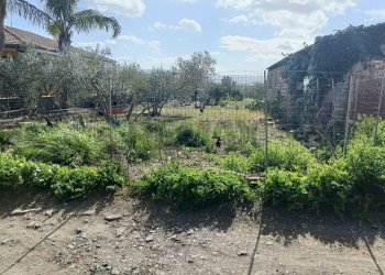 Giardino - Agricultural land Contrada San Leone, SS.385 Km 15
 
snc, Lentini - photo 17