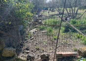 Giardino - Agricultural land Contrada San Leone, SS.385 Km 15
 
snc, Lentini - photo 18