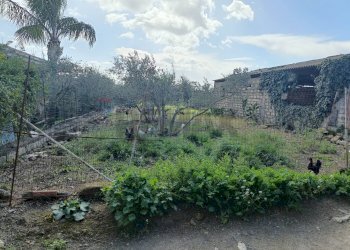 Vista delle montagne - Agricultural land Contrada San Leone, SS.385 Km 15
 
snc, Lentini - photo 19
