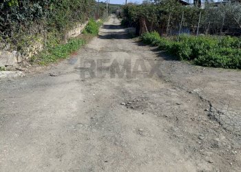 Giardino - Agricultural land Contrada San Leone, SS.385 Km 15
 
snc, Lentini - photo 22