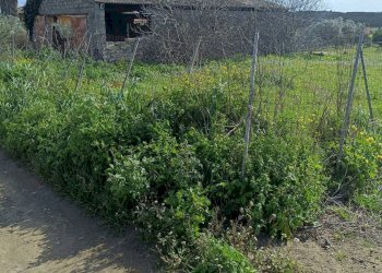 Vista delle montagne - Agricultural land Contrada San Leone, SS.385 Km 15
 
snc, Lentini - photo 23