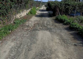 Giardino - Agricultural land Contrada San Leone, SS.385 Km 15
 
snc, Lentini - photo 31