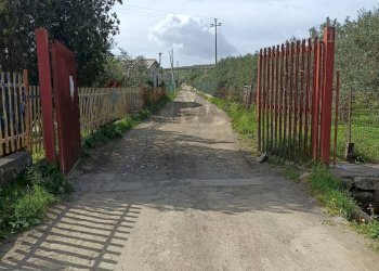 Non correlato - Agricultural land Contrada San Leone, SS.385 Km 15
 
snc, Lentini - photo 32