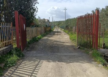 Giardino - Agricultural land Contrada San Leone, SS.385 Km 15
 
snc, Lentini - photo 33