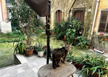 Giardino - Casa semi indipendente Via Archimede
 
132, Carlentini - foto 17