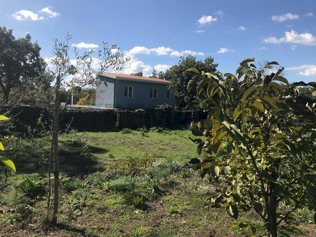 Giardino - Rustico Via Fiume
 
snc, Belpasso - foto 1