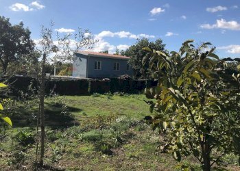 Giardino - Rustico Via Fiume
 
snc, Belpasso - foto 1