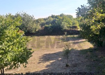 Giardino - Rustico Via Fiume
 
snc, Belpasso - foto 6