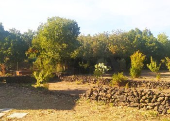 Giardino - Rustico Via Fiume
 
snc, Belpasso - foto 7