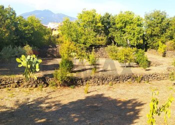 Giardino - Rustico Via Fiume
 
snc, Belpasso - foto 10