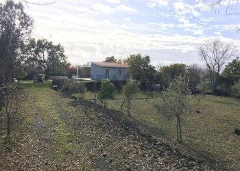 Giardino - Rustico Via Fiume
 
snc, Belpasso - foto 15