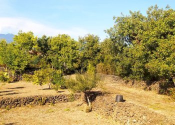 Giardino - Rustico Via Fiume
 
snc, Belpasso - foto 20