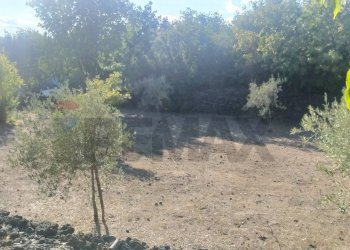 Giardino - Rustico Via Fiume
 
snc, Belpasso - foto 21