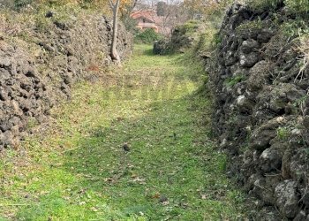 Giardino - Rustico Via Fiume
 
snc, Belpasso - foto 22