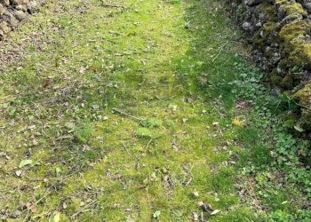 Giardino - Rustico Via Fiume
 
snc, Belpasso - foto 23