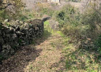 Giardino - Rustico Via Fiume
 
snc, Belpasso - foto 24