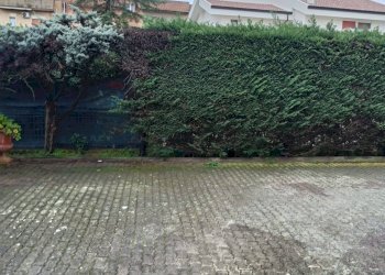 Giardino - Casa semi indipendente Via Bernardino Nigro
 
1, Caltagirone - foto 4