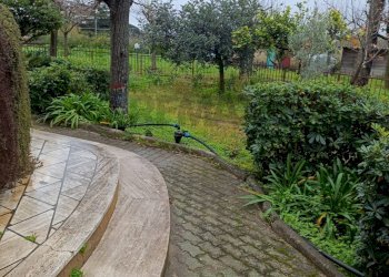 Giardino - Casa semi indipendente Via Bernardino Nigro
 
1, Caltagirone - foto 6